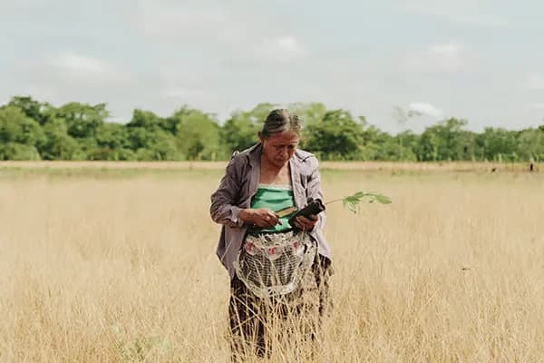 Penny app on smartphone