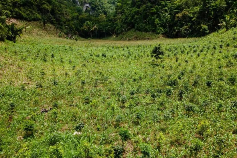 Bright yellow tote bag